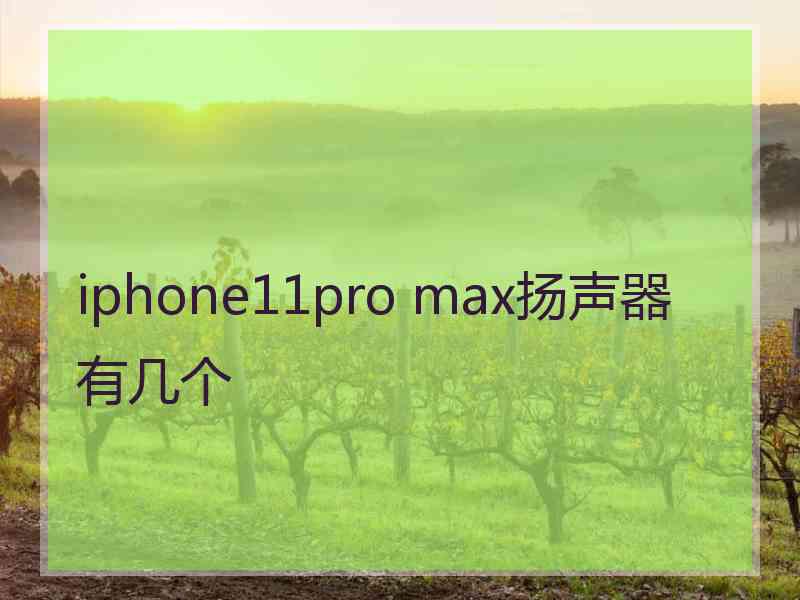 iphone11pro max扬声器有几个