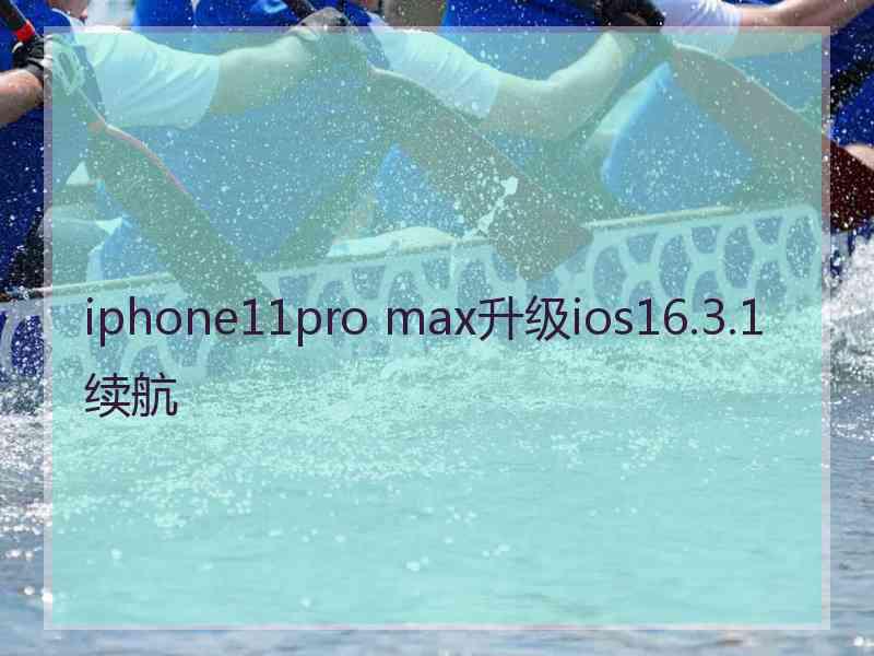 iphone11pro max升级ios16.3.1续航