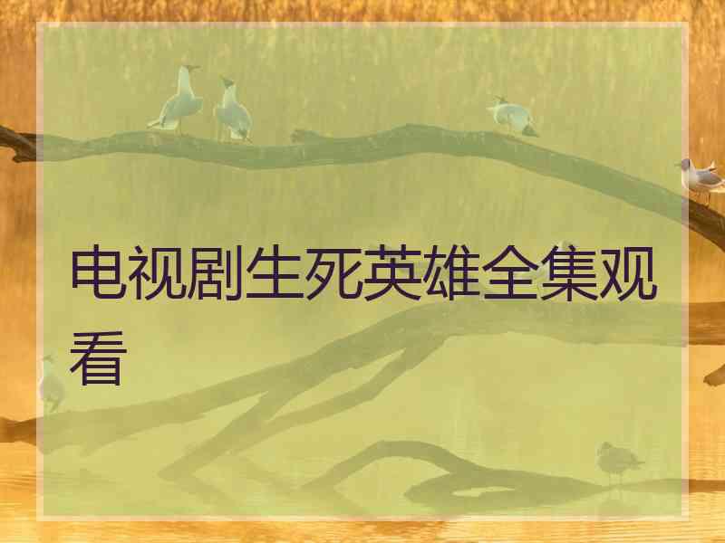 电视剧生死英雄全集观看