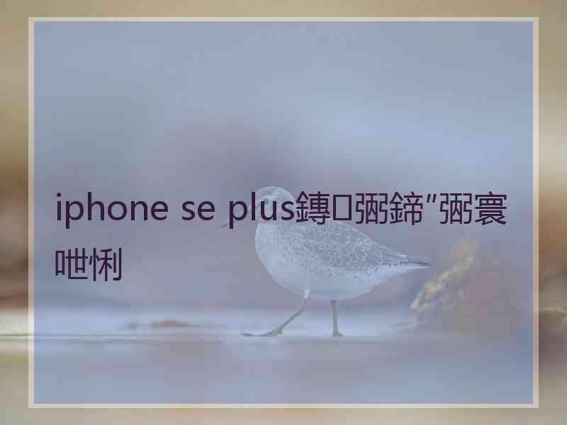 iphone se plus鏄弻鍗″弻寰呭悧