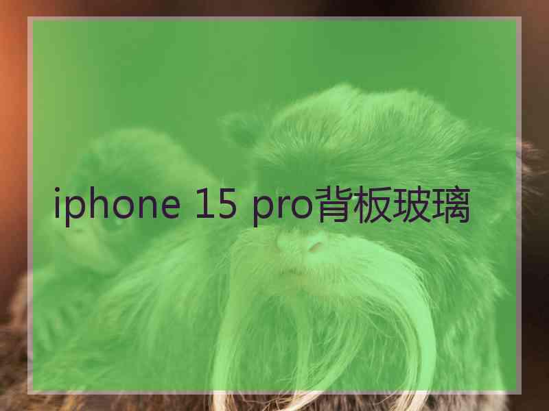 iphone 15 pro背板玻璃