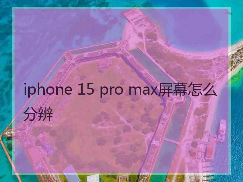 iphone 15 pro max屏幕怎么分辨