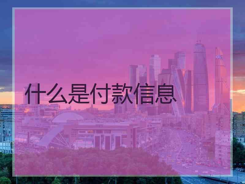 什么是付款信息