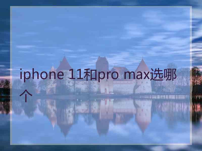 iphone 11和pro max选哪个