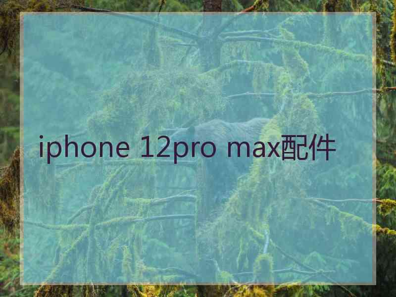 iphone 12pro max配件