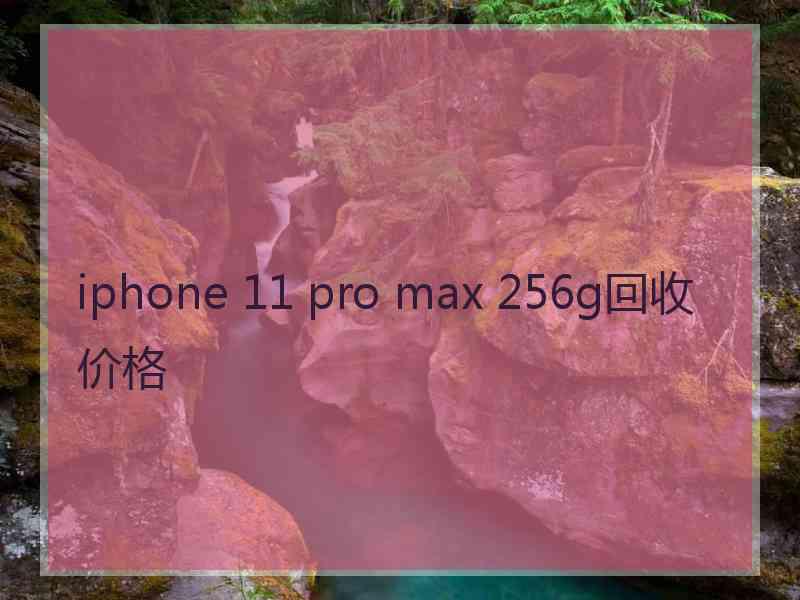 iphone 11 pro max 256g回收价格