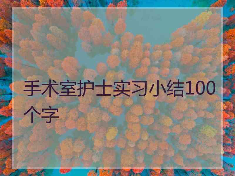 手术室护士实习小结100个字