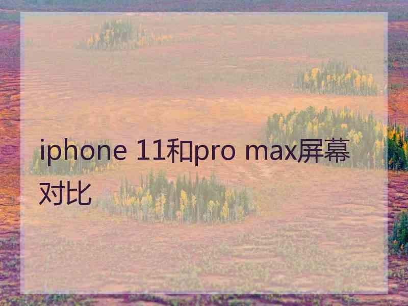 iphone 11和pro max屏幕对比