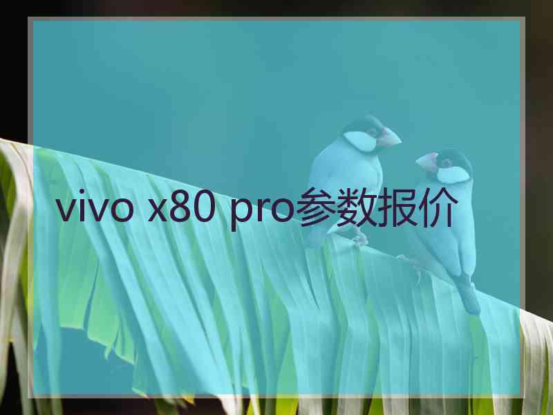 vivo x80 pro参数报价