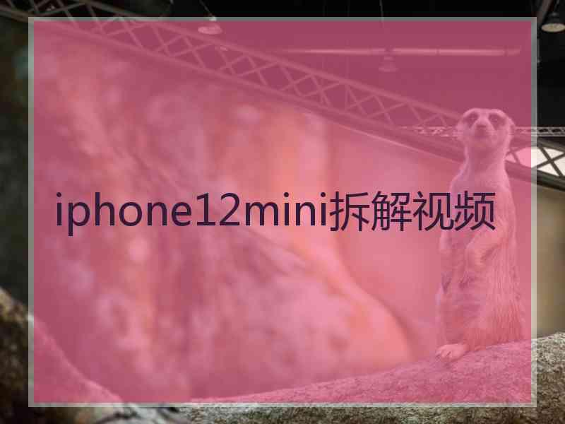 iphone12mini拆解视频