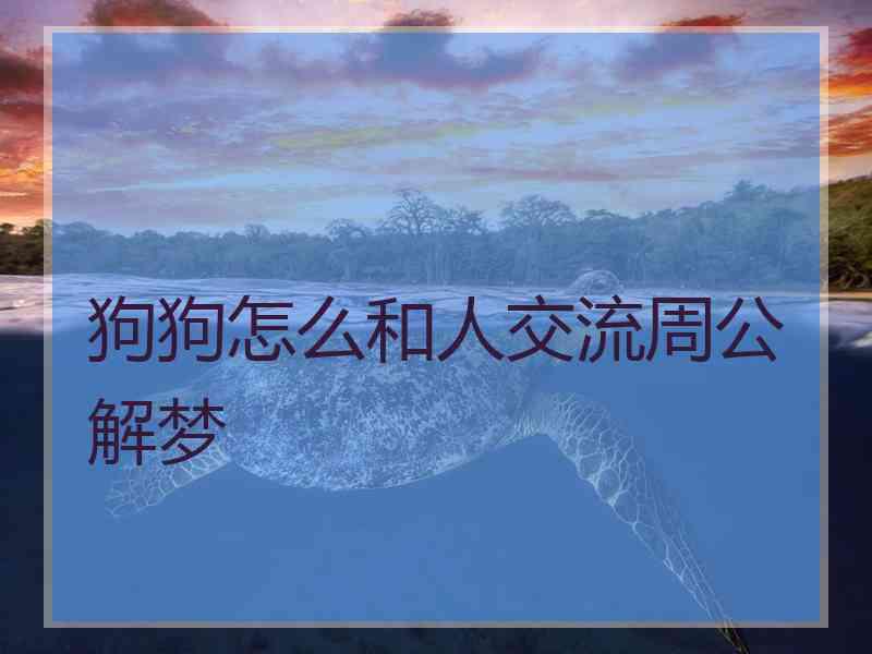 狗狗怎么和人交流周公解梦