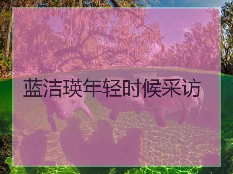 蓝洁瑛年轻时候采访