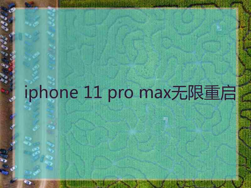 iphone 11 pro max无限重启