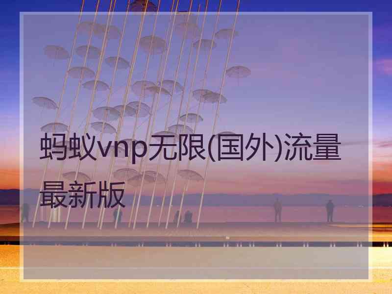 蚂蚁vnp无限(国外)流量最新版