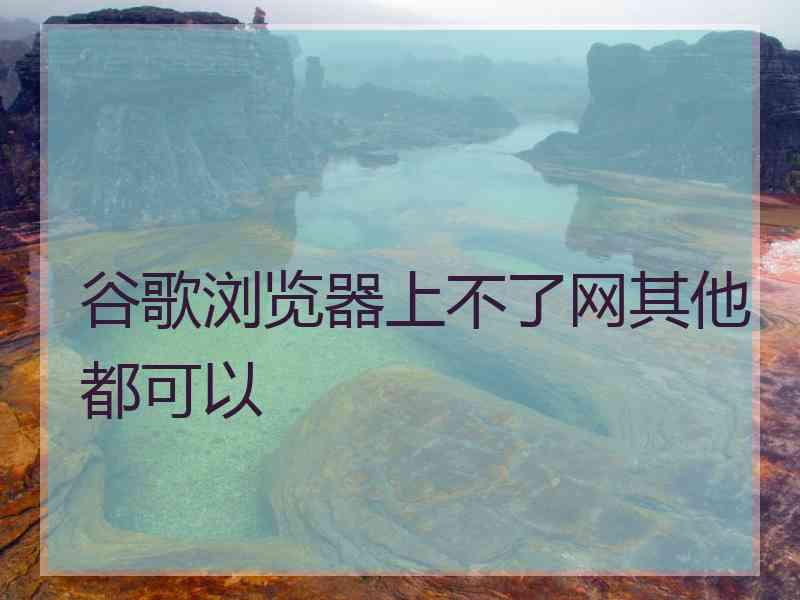 谷歌浏览器上不了网其他都可以