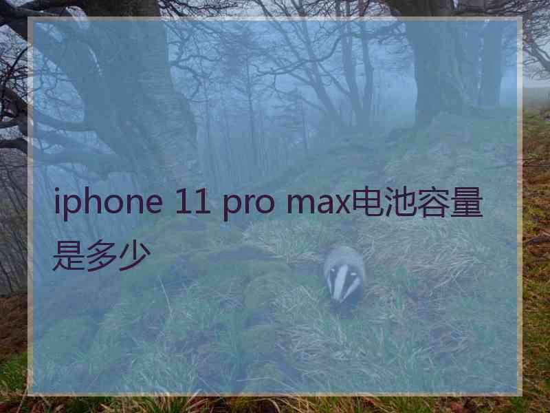 iphone 11 pro max电池容量是多少