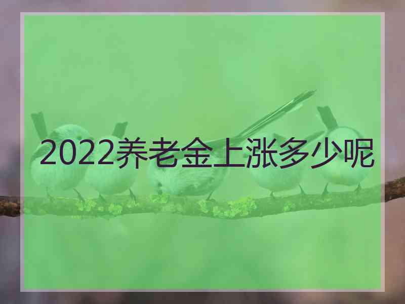 2022养老金上涨多少呢