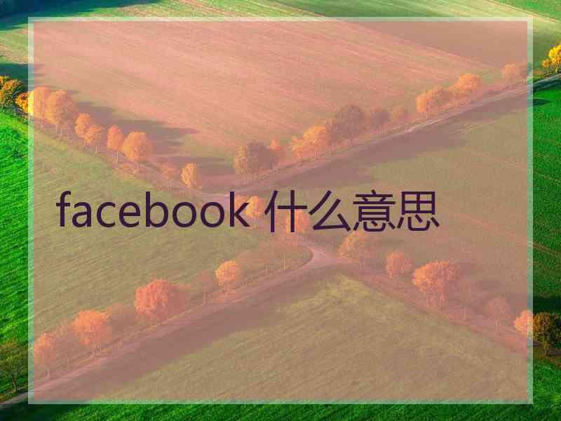 facebook 什么意思