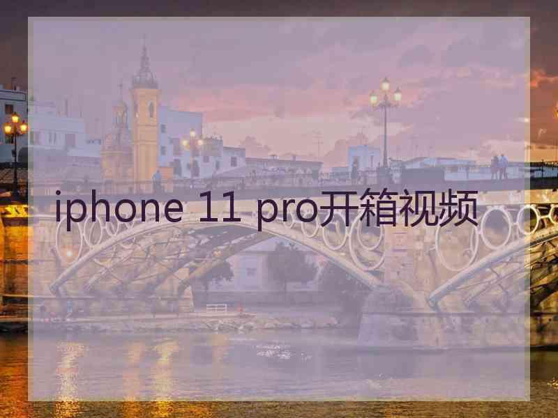 iphone 11 pro开箱视频