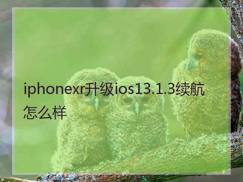 iphonexr升级ios13.1.3续航怎么样