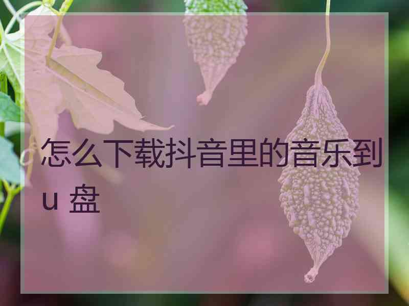 怎么下载抖音里的音乐到u 盘