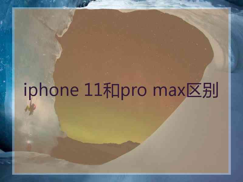 iphone 11和pro max区别