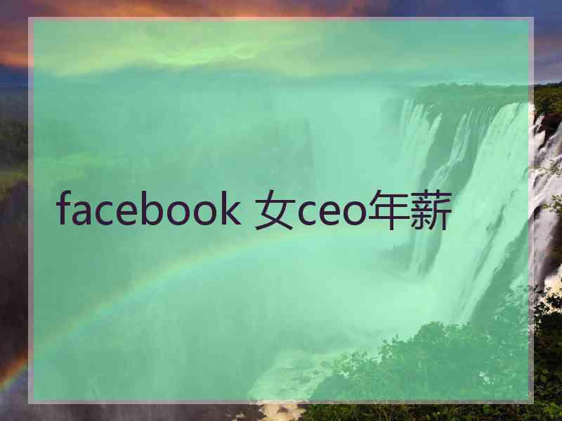 facebook 女ceo年薪