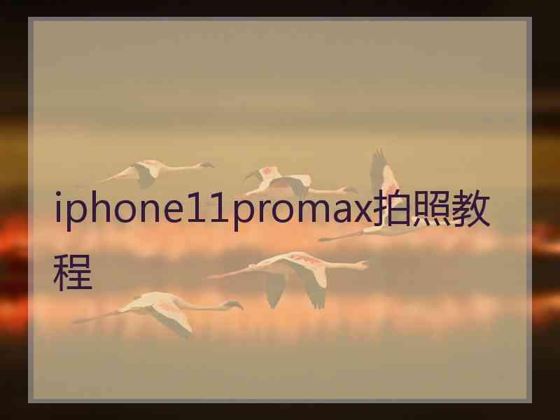 iphone11promax拍照教程