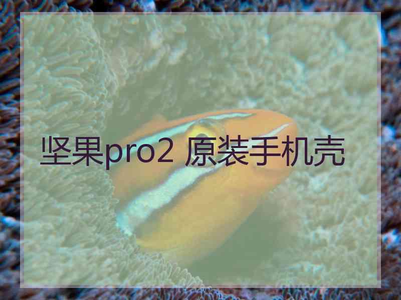 坚果pro2 原装手机壳