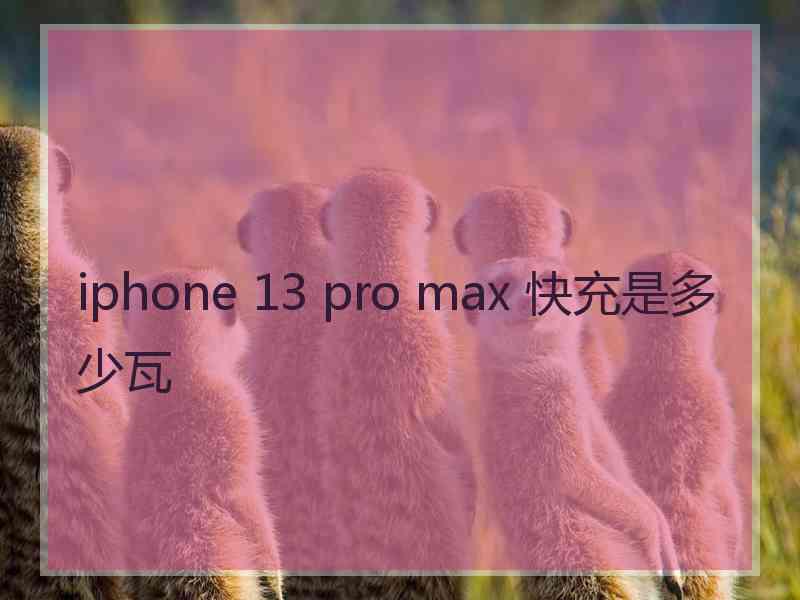 iphone 13 pro max 快充是多少瓦