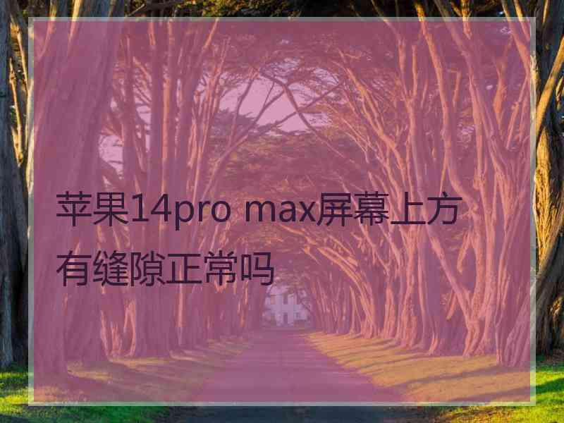 苹果14pro max屏幕上方有缝隙正常吗