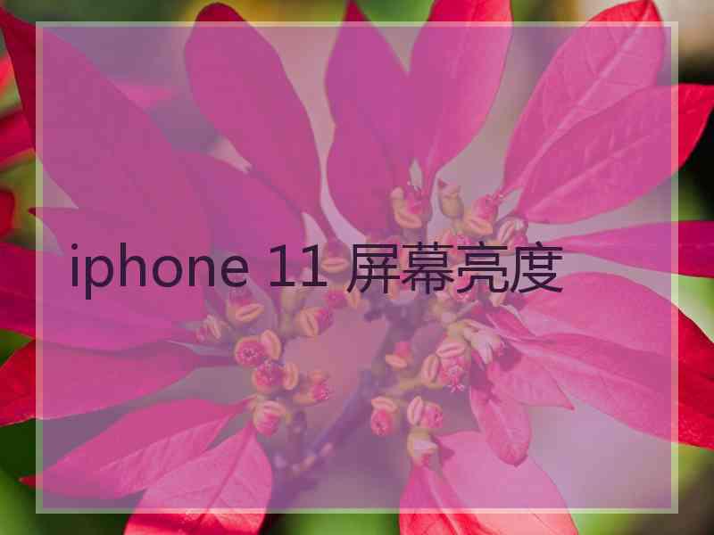 iphone 11 屏幕亮度