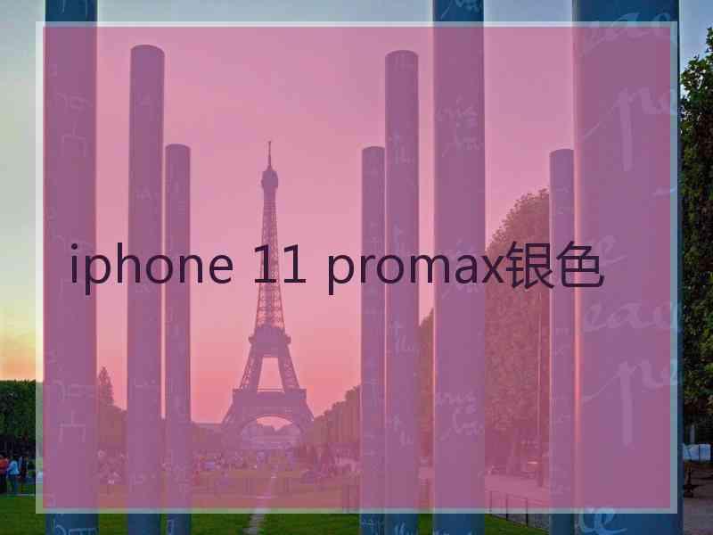 iphone 11 promax银色