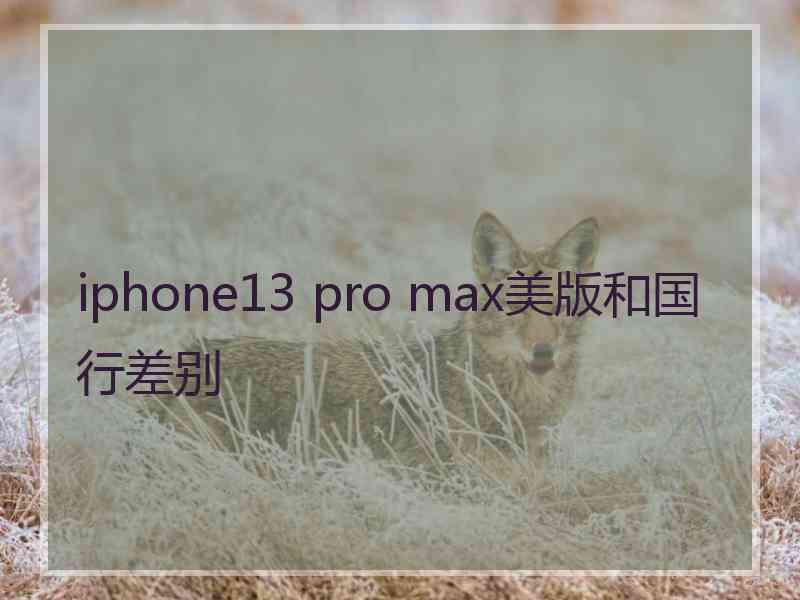 iphone13 pro max美版和国行差别