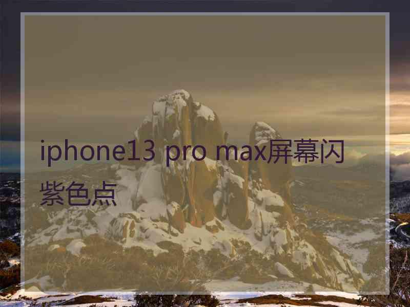 iphone13 pro max屏幕闪紫色点