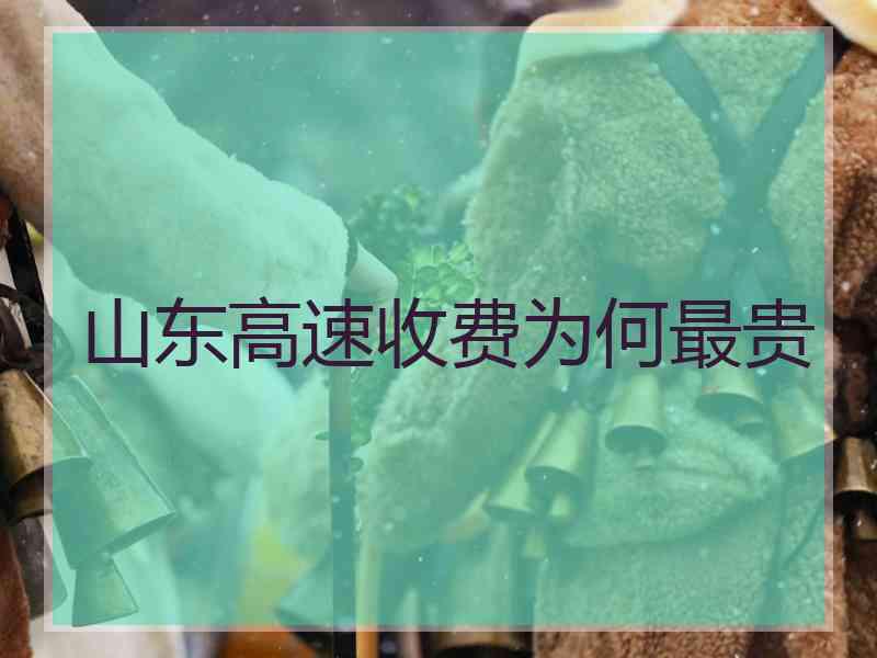 山东高速收费为何最贵