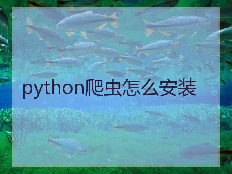 python爬虫怎么安装