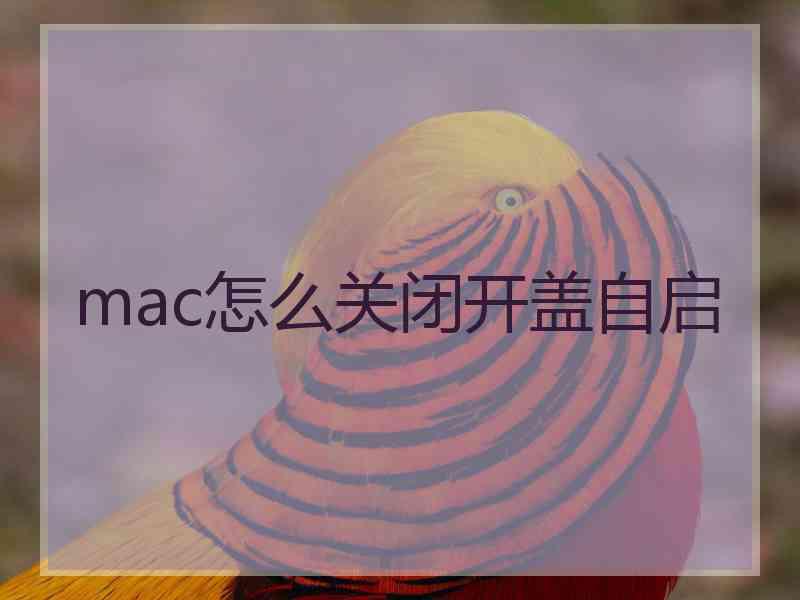 mac怎么关闭开盖自启