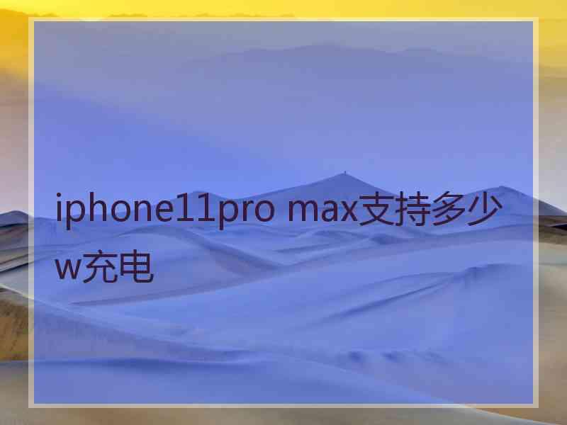 iphone11pro max支持多少w充电