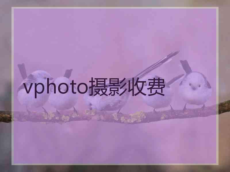 vphoto摄影收费