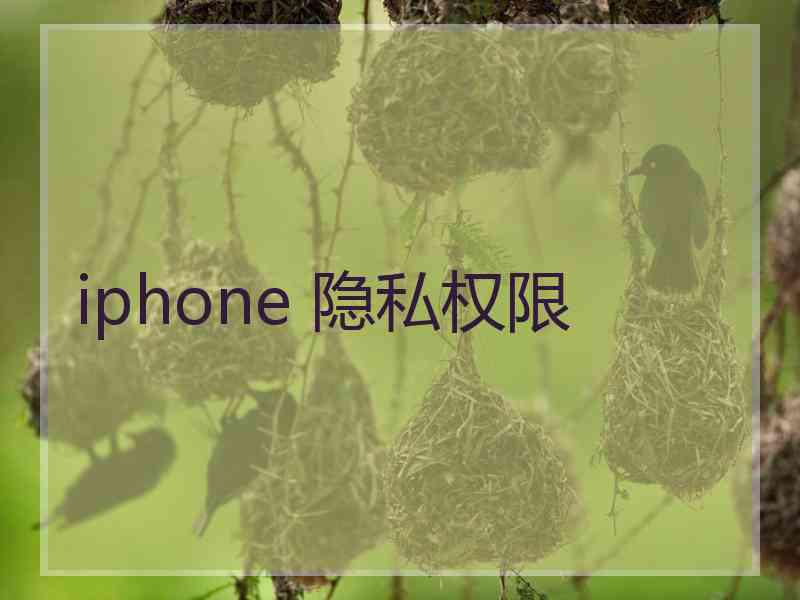 iphone 隐私权限