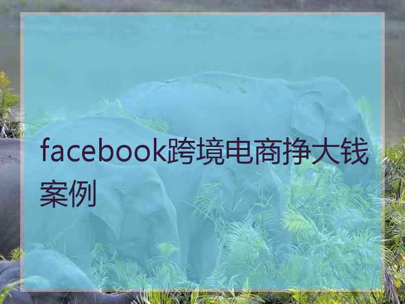 facebook跨境电商挣大钱案例