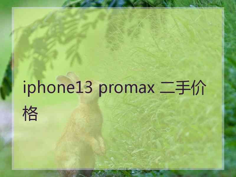 iphone13 promax 二手价格