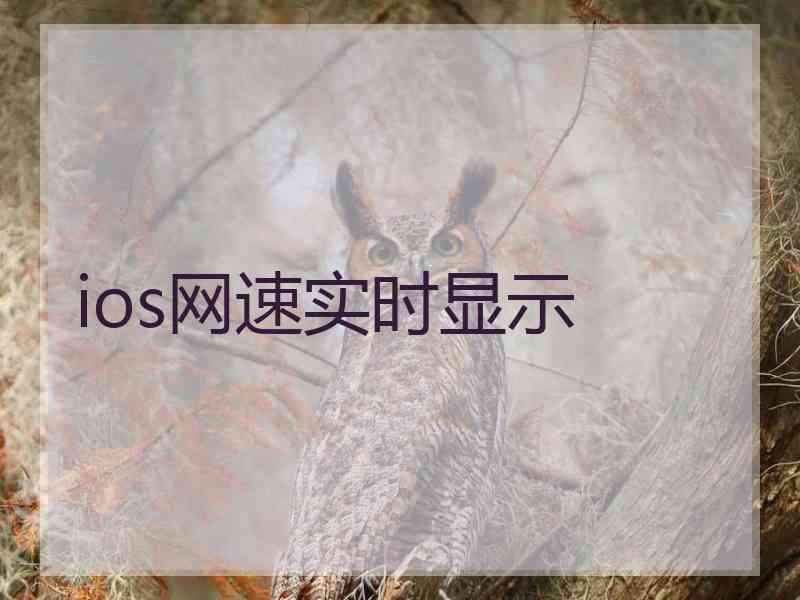 ios网速实时显示