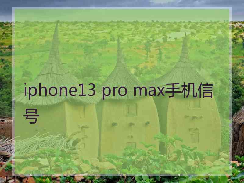 iphone13 pro max手机信号