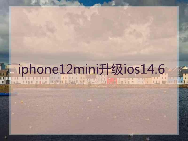 iphone12mini升级ios14.6