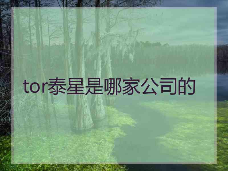 tor泰星是哪家公司的