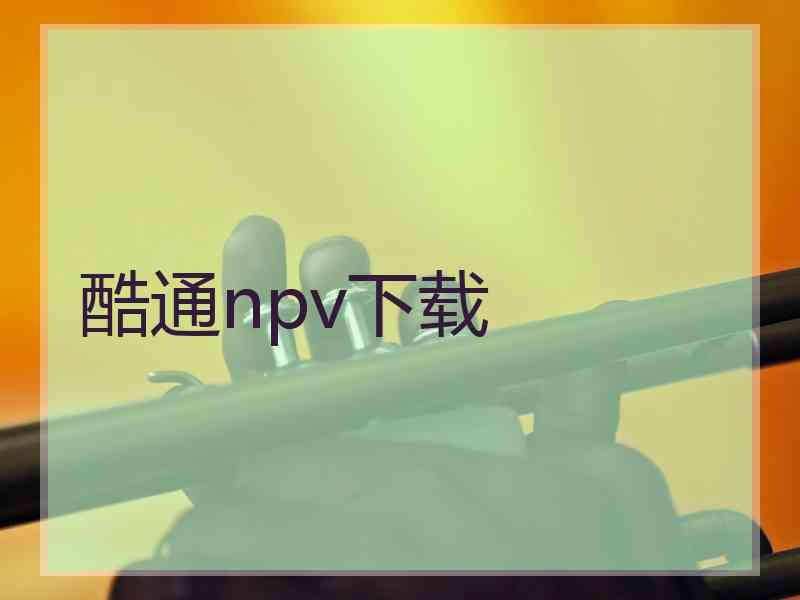 酷通npv下载