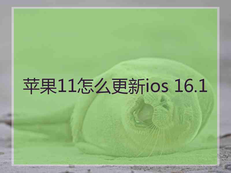 苹果11怎么更新ios 16.1