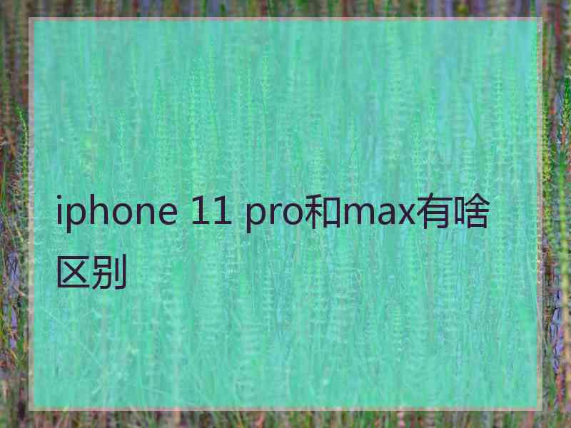 iphone 11 pro和max有啥区别